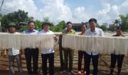 Đồng chí Chủ tịch UBND huyện kiểm tra  làng nghề miến gạo Tân Giao xã Thăng Long