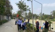 Xã Hoàng Giang đồng loạt ra quân trồng cây đầu xuân Giáp Thìn 2024