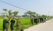 Hội cựu chiến binh xã Vạn Hòa chăm sóc cây xanh trên tuyến đường kiểu mẫu